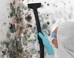 Reliable Waterman, IL Mold Removal Solutions